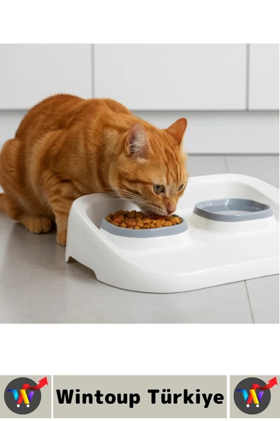 Evcil Hayvan Kaymaz Taban Çıkarılabilir Tasarım Çift Bölmeli Kedi Köpek Plastik Mama Su Kabı 2 in 1 - Resim 2