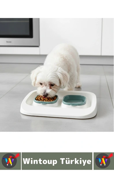 Evcil Hayvan Kaymaz Taban Çıkarılabilir Tasarım Çift Bölmeli Kedi Köpek Plastik Mama Su Kabı 2 in 1 - Resim 3