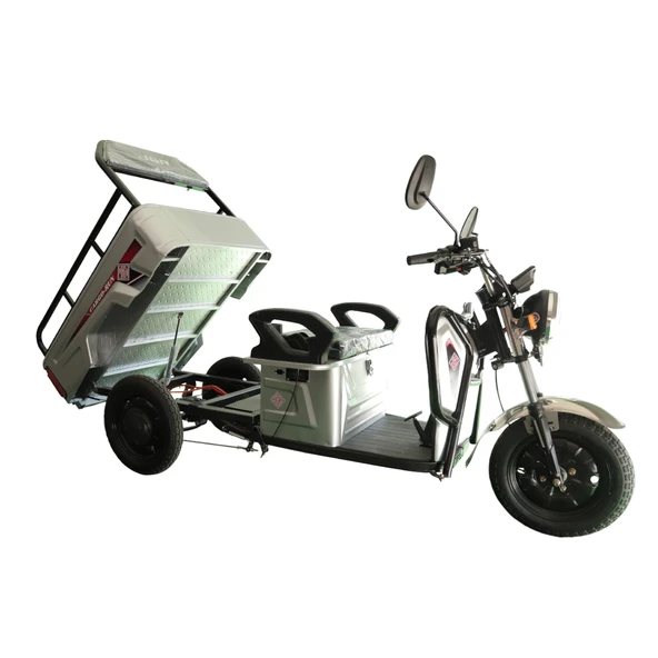 JGR Motor Cargo Run 3 Tekerli Elektrikli Motosiklet - Resim 2