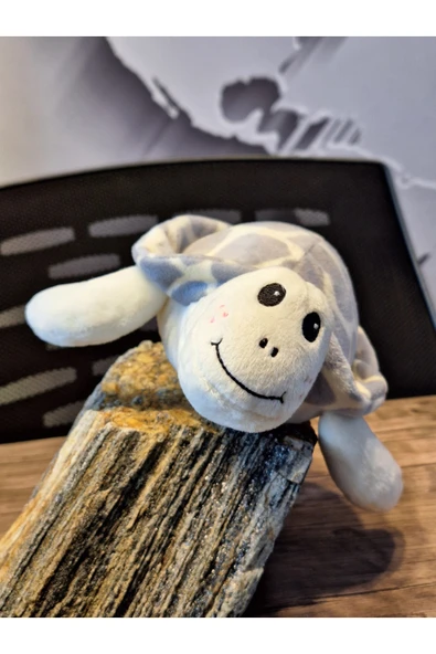 Caretta caretta Kaplumbağa Küçük ürün görseli 1