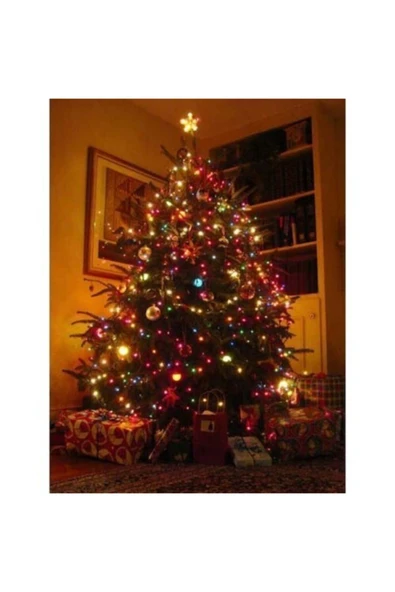 Yılbaşı Led Işık Çok Renkli 8 Fonksiyonlu 10m Fişli ürün görseli 1