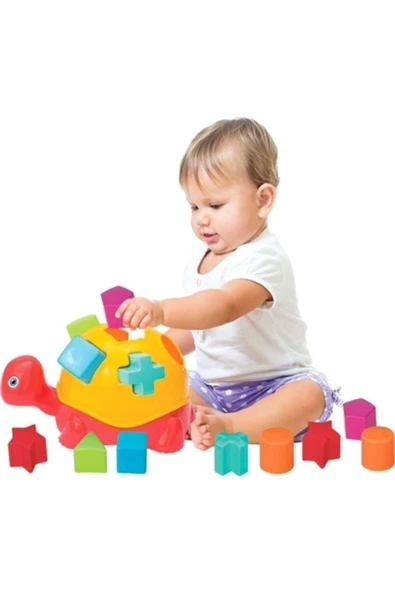 Eğitici Kaplumbağa Bultak ürün görseli 1