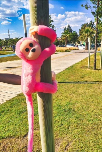 Sevimli Sarılan Sesli Maymun Pembe ürün görseli 1