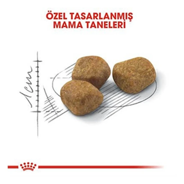 Royal Canin İndoor 7+ Senior Yaşlı Kedi Maması  Hayır 7+ Yaş 3.5 Kg - Resim 3