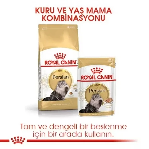 Royal Canin Persian Adult Yetişkin İran Kedisi Maması  Yetişkin (1 - 7 Yaş) 2 Kg Hayır ürün görseli 1