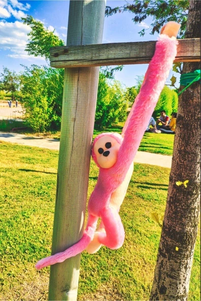 Sevimli Sarılan Sesli Maymun Pembe - Resim 3