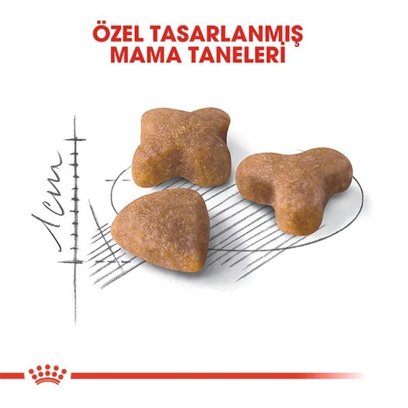 Royal Canin Sensible 33 Hassas Yetişkin Kedi Maması  Yetişkin (1 - 7 Yaş) 2 Kg Hayır - Resim 3