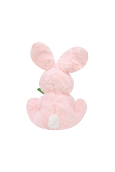 Sevimli Havuç Tutan Tavşan Peluş Oyuncak - Resim 2