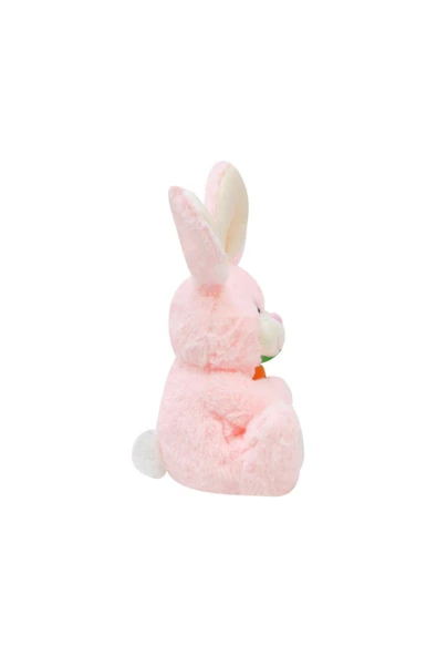 Sevimli Havuç Tutan Tavşan Peluş Oyuncak - Resim 3