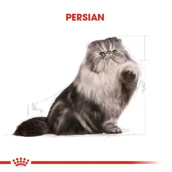 Royal Canin Persian Adult Yetişkin İran Kedisi Maması  Yetişkin (1 - 7 Yaş) 2 Kg Hayır - Resim 4
