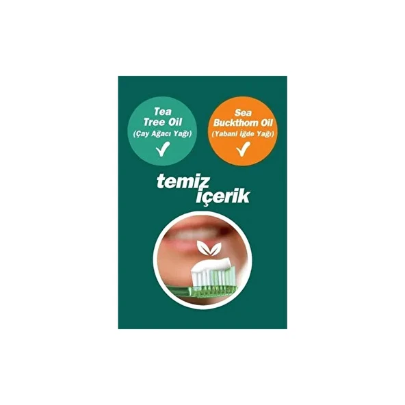 TTO Ferahlatıcı Diş Macunu Ağız Kokusuna Karşı Etkili 75 GR Diş Sağlığı İçin - Resim 5