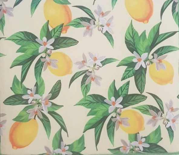 10 Adet Kurutmalık Mikrofiber Kurutma Bulaşık Tezgah Altlığı - Resim 5