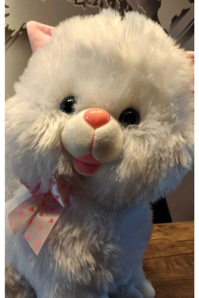 Oturan Tombul Sevimli Peluş Kedi 45cm - Resim 3