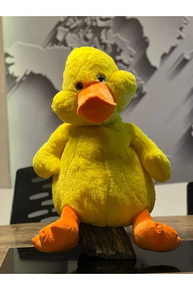 Çok tatlımı tatlı ördek 60cm - Resim 2