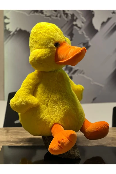 Çok tatlımı tatlı ördek 60cm - Resim 3