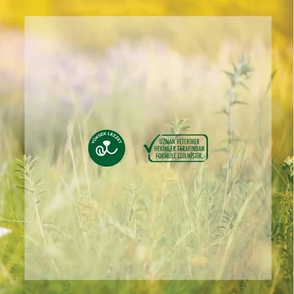 Rico Somonlu Yetişkin Kedi Maması  Yetişkin (1 - 7 Yaş) 15 Kg Hayır - Resim 2