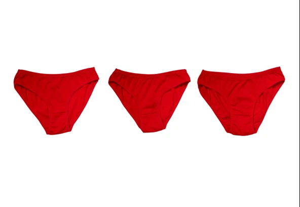 Litae Kırmızı Yılbaşı Desenli 3lü Pamuklu Külot Takımı - Resim 4