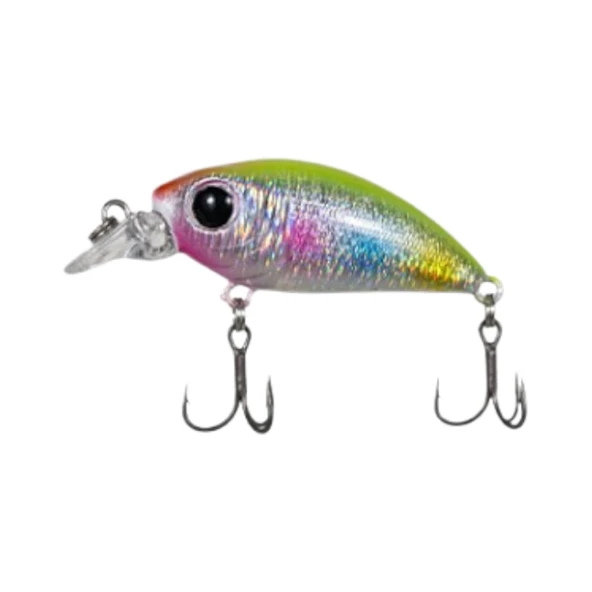 Ryuji Small Minnow 4,5cm 5,2gr Maket Yem Renk : Rainbow ürün görseli 1