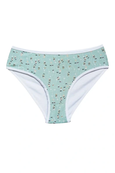 LitaeTrend Pamuklu Geniş Kenarlı Likralı Desenli Bato Kadın Külot 5'li Paket Set 2 - Resim 3