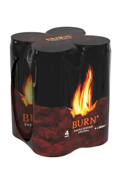 Burn 4X250 Ml ürün görseli 1
