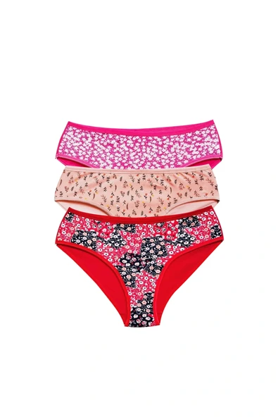 LitaeTrend Pamuklu Geniş Kenarlı Likralı Desenli Bato Kadın Külot 3'lü Paket Set3 ürün görseli 1