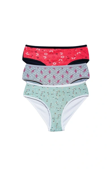 LitaeTrend Pamuklu Geniş Kenarlı Likralı Desenli Bato Kadın Külot 3'lü Paket Set1 ürün görseli 1