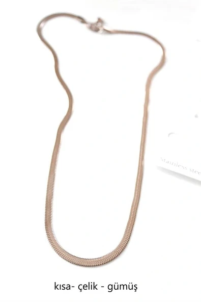 LitaeTrend Kısa İtalyan Çelik Kolye-45 CM - Gümüş ürün görseli 1