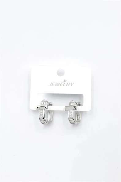 LitaeTrend Taşlı Küpe - Gümüş - Resim 2