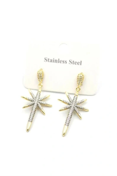 LitaeTrend Kutup Yıldızı Küpe - Altın - Resim 2