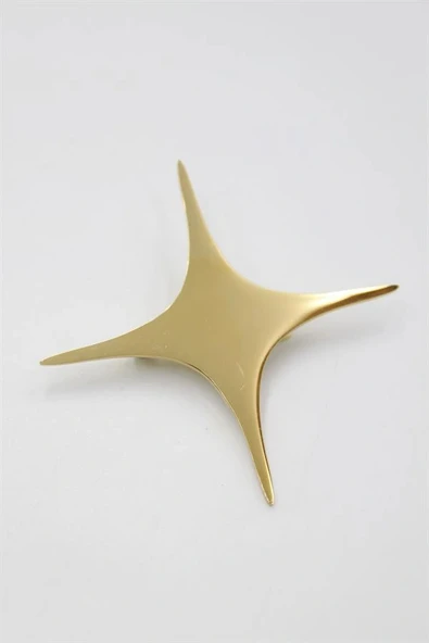LitaeTrend Çelik Yıldız Broş - Altın ürün görseli 1