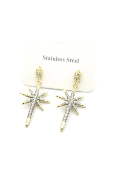 LitaeTrend Kutup Yıldızı Küpe - Altın ürün görseli 1