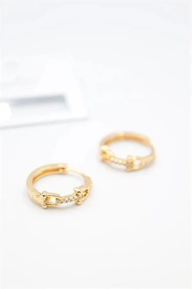 LitaeTrend Taşlı Halka Küpe - Altın - Resim 2