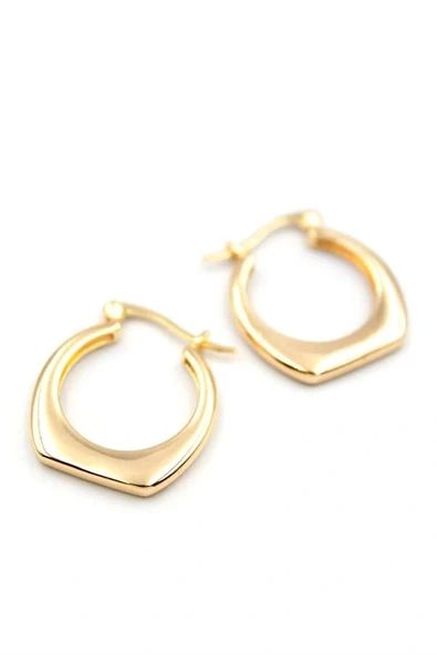 LitaeTrend Halka Küpe - Altın - Resim 2