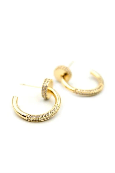 LitaeTrend Çivi Küpe - Altın ürün görseli 1