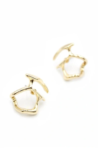 LitaeTrend Metal Küpe - Altın - Resim 2