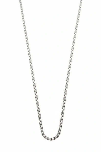 LitaeTrend Yılan Zincir Kolye - 45 cm - Gümüş ürün görseli 1