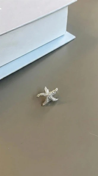 LitaeTrend Deniz Yıldızı Kıkırdak Küpe - Gümüş ürün görseli 1