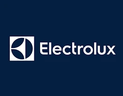 Electrolux E6HS12EG 1200 W Buharlı Kırışıklık Giderici Ütü - Resim 3