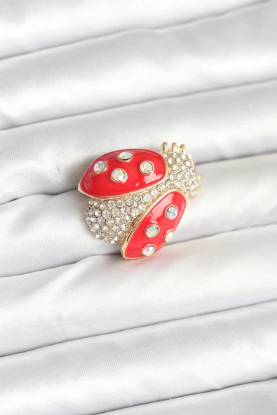 CEYLAN ADAM Uğur Böceği Model Broş ürün görseli 1