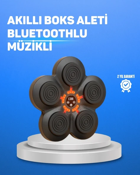 CEYLAN ADAM Müzikli Boks Duvar Paneli Akıllı Işık Sistemli Refleks ve Kondisyon Aleti ürün görseli 1