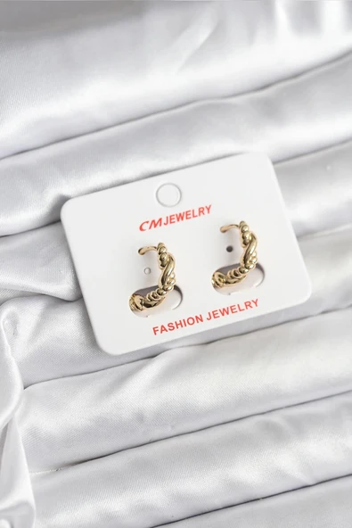 CEYLAN ADAM 14K Gold Renk Kaplama Burgu Model CM Kadın Küpe ürün görseli 1