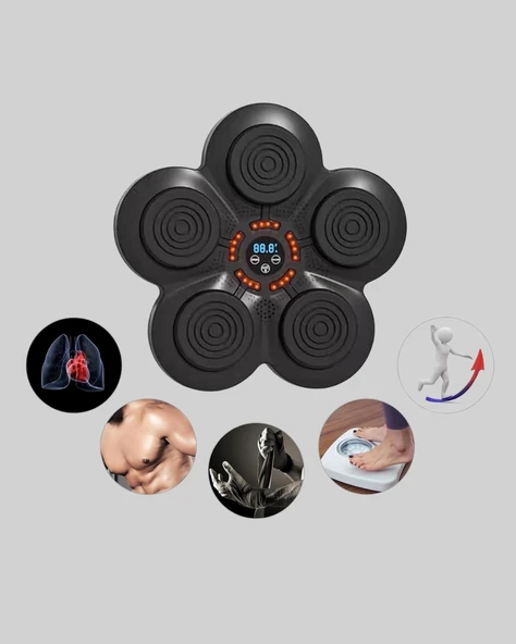 CEYLAN ADAM Müzikli Boks Duvar Paneli Akıllı Işık Sistemli Refleks ve Kondisyon Aleti - Resim 4