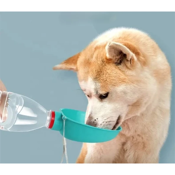 Evcil Hayvan Takılabilir Suluk Başlığı - Resim 3