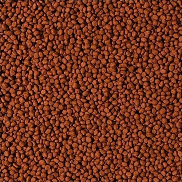 Tropical Cichlid Carnivore Small Pellet 500 Gram Küçük Granül Bal ürün görseli 1