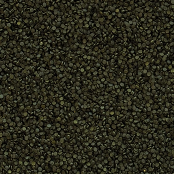 Tropical Süper Spirulina Forte Granulat Granül Yem 1 KG - Resim 2