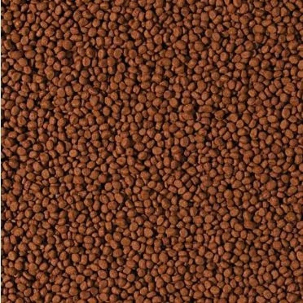 250 Gram Tropical Cichlid Carnivore Medium Pellet Büyük Granül Ba - Resim 2