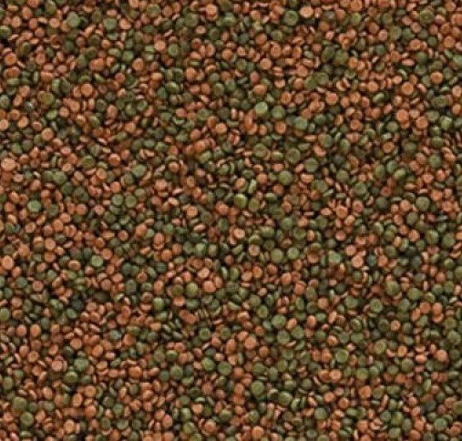 Tropical Cichlid Gran 500 G Kovadan Bölme Balık Yemi - Resim 2