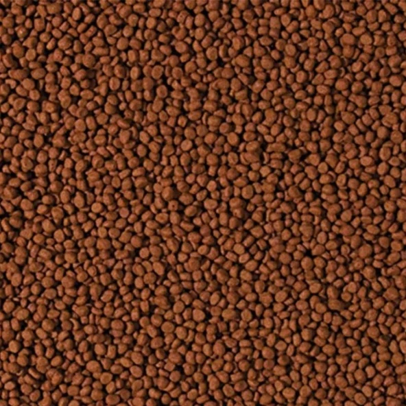 Tropical Cichlid Carnivore Small Pellet 1000 Gram Küçük Granül Ba - Resim 5