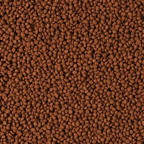 Tropical Cichlid Carnivore Small Pellet 100 Gram Küçük Granül Bal - Resim 6