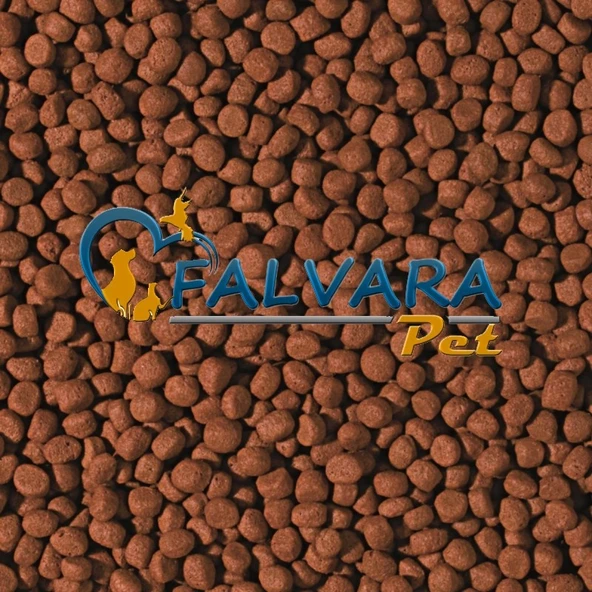 100 Gram Tropical Cichlid Carnivore Medium Pellet Büyük Granül Ba - Resim 6